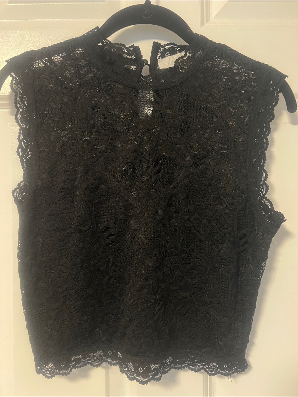 Sans Souci Black Lace Sleeveless Crop Top